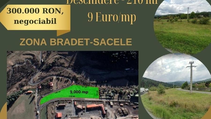 Teren intravilan de 9000 mp, în Brădet
