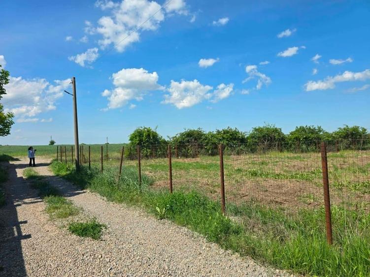 Teren Construcții intravilan de 1553 mp, în Șendreni