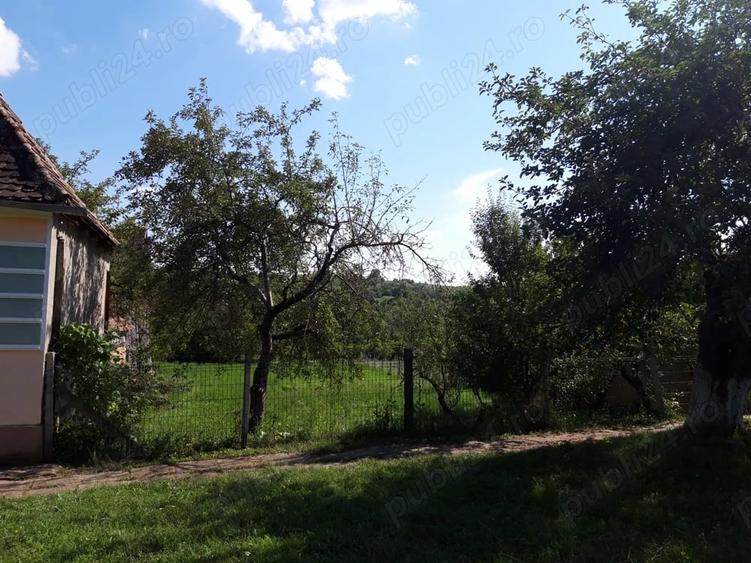 Casă cu 3 camere cu Teren 1000 Mp în Daia (Apold)