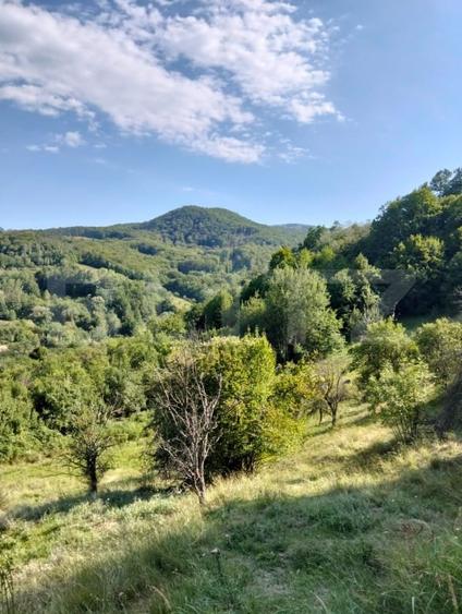 Teren Construcții intravilan de 70290 mp, în Poiana Ampoiului