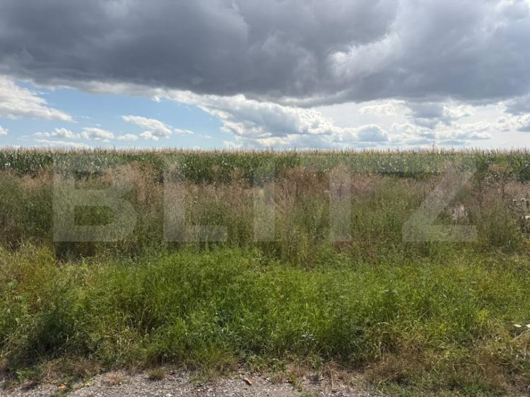 Teren de vanzare, 1.800 mp, zona Turda Cartier Primaverii - 1