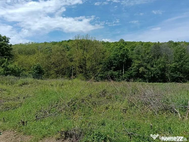 Teren de 1807 mp, în Cocorăștii Mislii