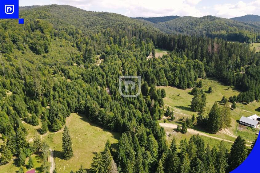 Teren intravilan de 14430 mp, în Periferie