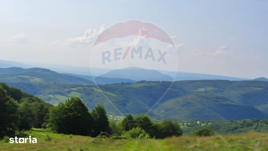 Teren de 128948 mp, în Negreni