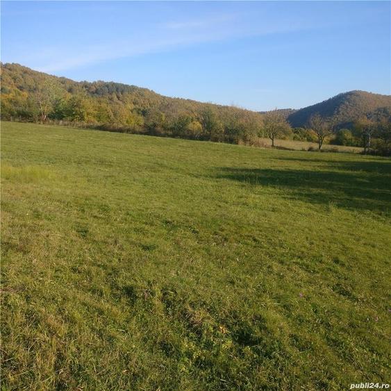 Teren de 4214 mp, în Remecioara
