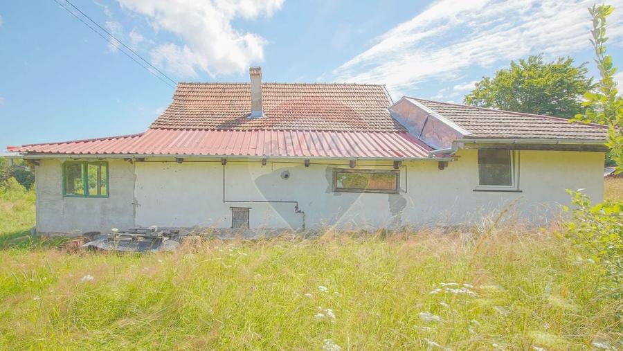 Casă de vacanță la poalele Munților Făgăraș | Teren 8.000 mp | - 31