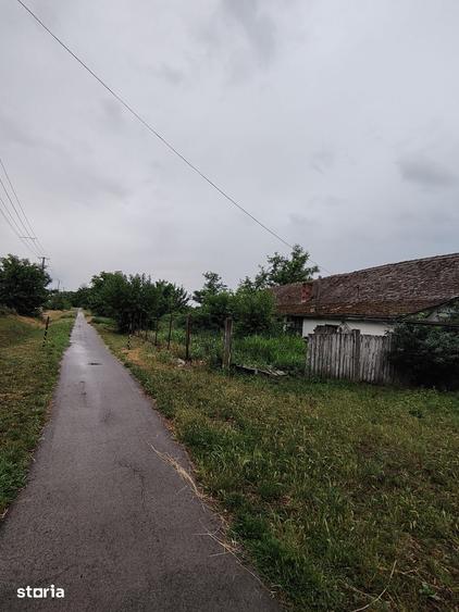 Casă cu 3 camere cu Teren 2503 Mp în Central