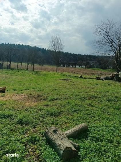 Teren de 500 mp, în Bodești
