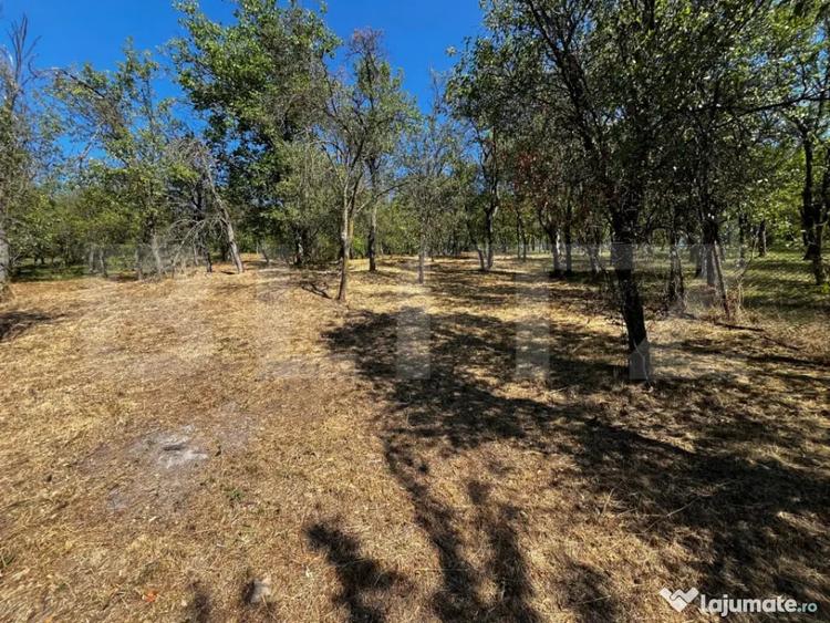 Casa individuala zona superba Nadasu, 2500mp teren - 10