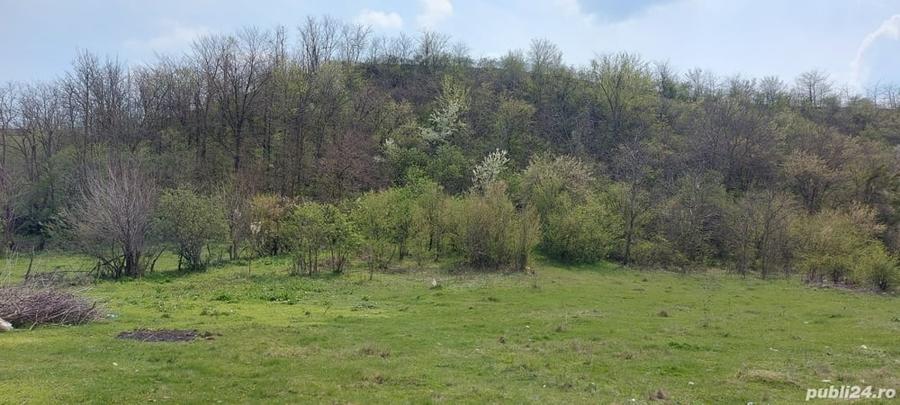 Teren de 3100 mp, în Axintele