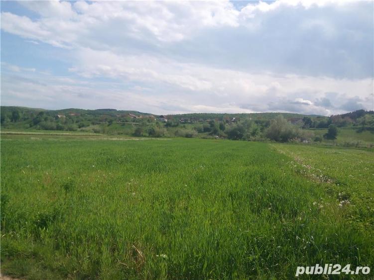 Teren intravilan in Savadisla 2000mp - 2