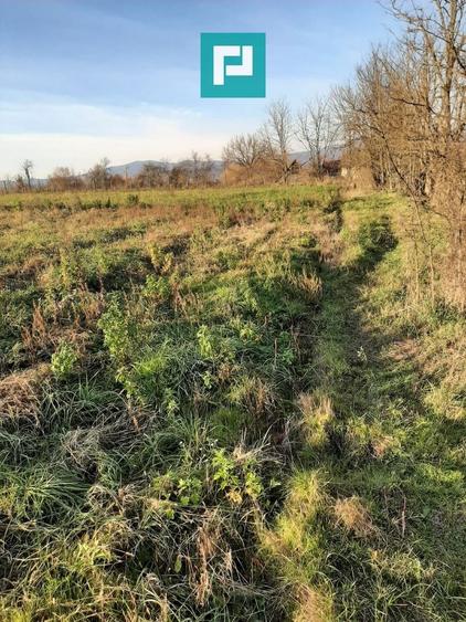 Teren agricol intravilan de 1260 mp, în Ususău