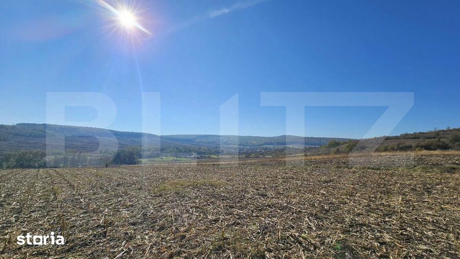 Teren de 17000 mp, în Pestișu Mic