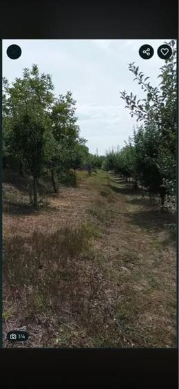 Teren de 2100 mp, în Gârbova