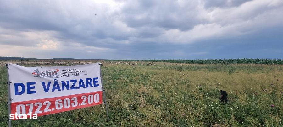 Teren de 10000 mp, în Rătești