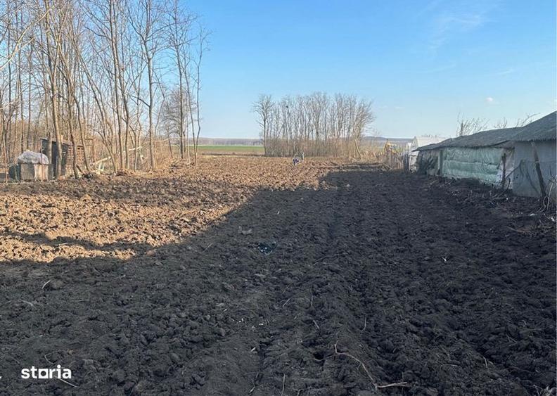 Teren de 3804 mp, în Chiselet