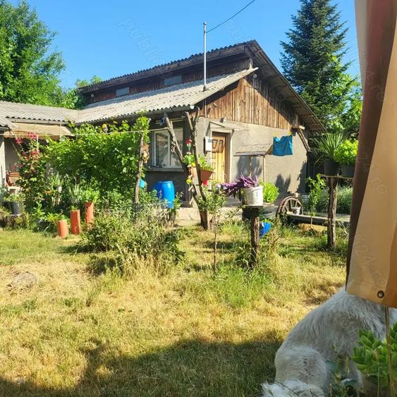 Casă cu 3 camere cu Teren 2000 Mp în Albina