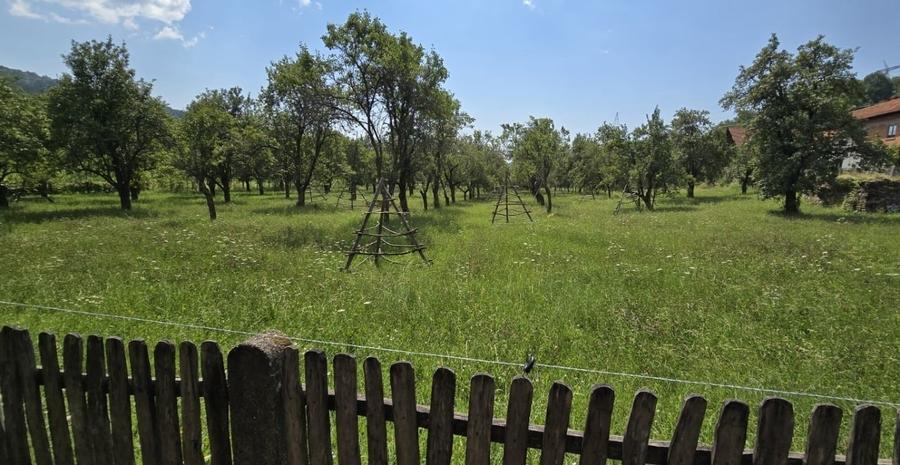Teren intravilan de 8000 mp, în Arefu