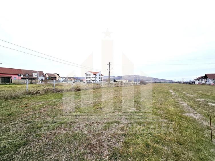Teren intravilan de 3000 mp, în Bărăbanț
