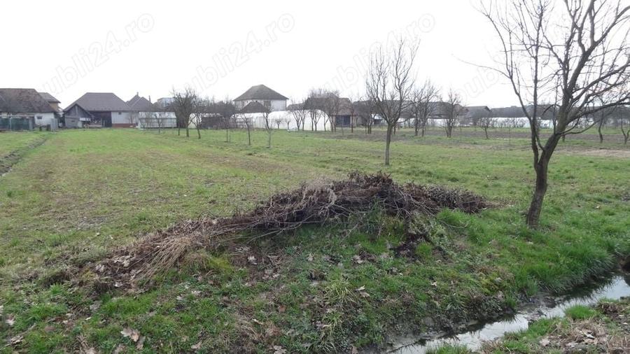 Teren în Mocira