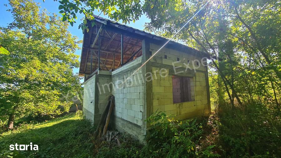 Casă cu 3 camere cu Teren 4391 Mp în Valea Danului