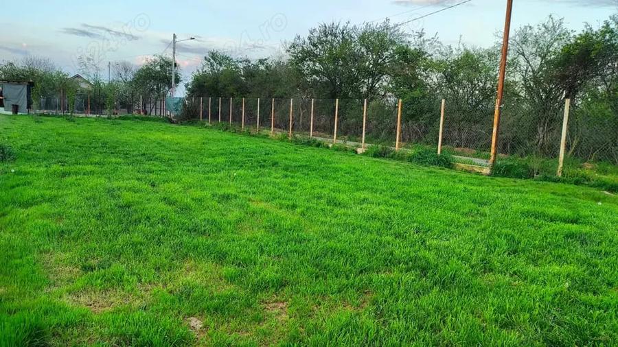 Teren de 525 mp, în Adunații-Copăceni