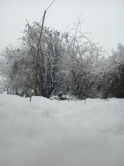 Casă cu 2 camere cu Teren 1000 Mp în Viperești