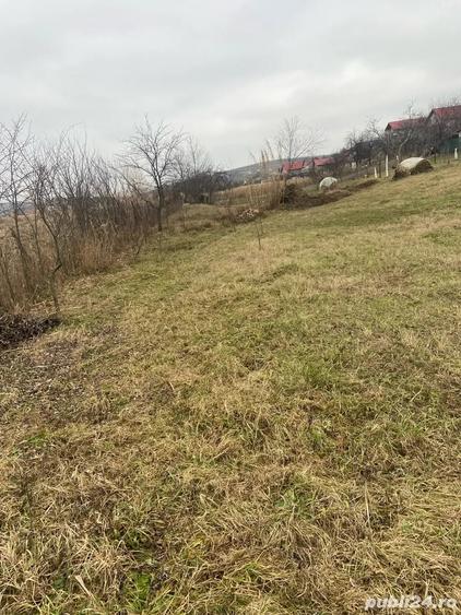 Teren de 4750 mp, în Chicerea