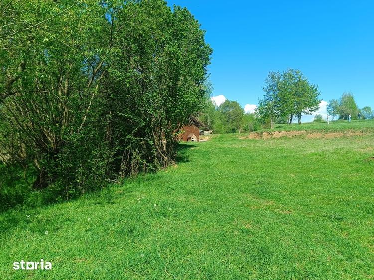 Teren de 5783 mp, în Bran