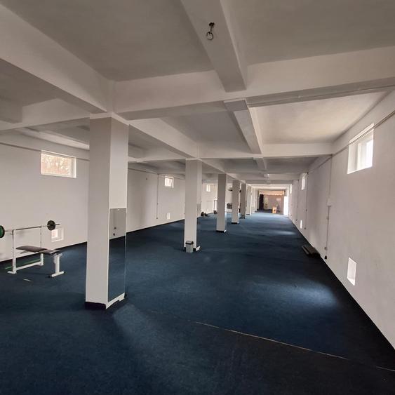 Spațiu comercial, de 900 mp, în Tănăsoaia