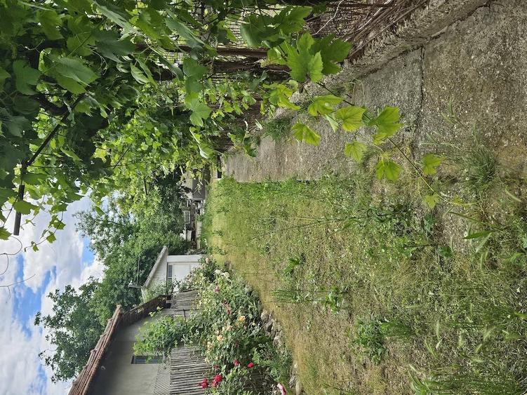 Casă cu Teren 1100 Mp în Zărnești