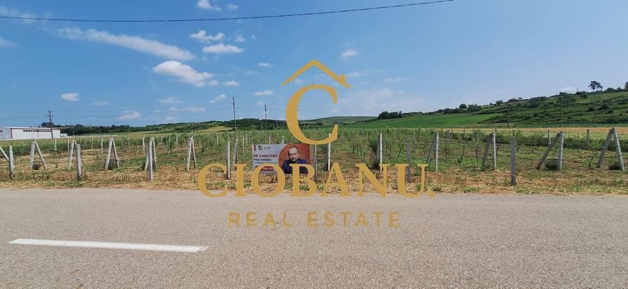 Teren agricol intravilan de 9000 mp, în Exterior Nord