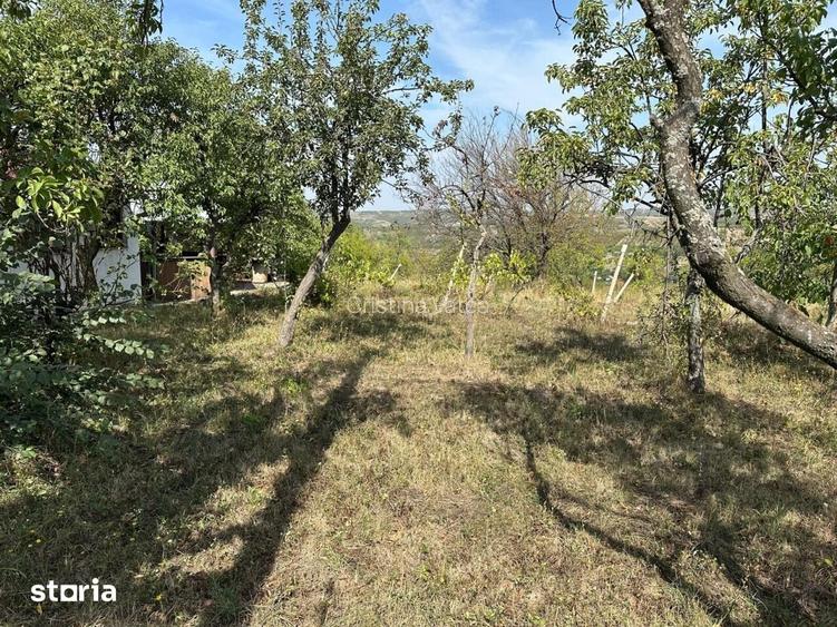 Teren 1665mp, front 38m, strada Piatra Craiului ( 66euro/mp)
