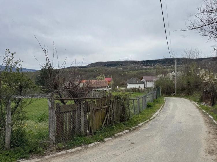 Spațiu comercial, în Bujoreni