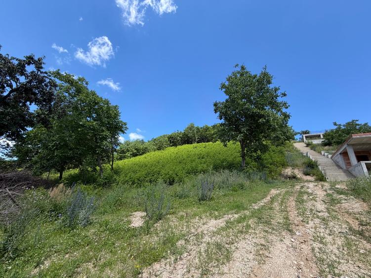 Teren Construcții intravilan de 2500 mp, în Cisnădioara