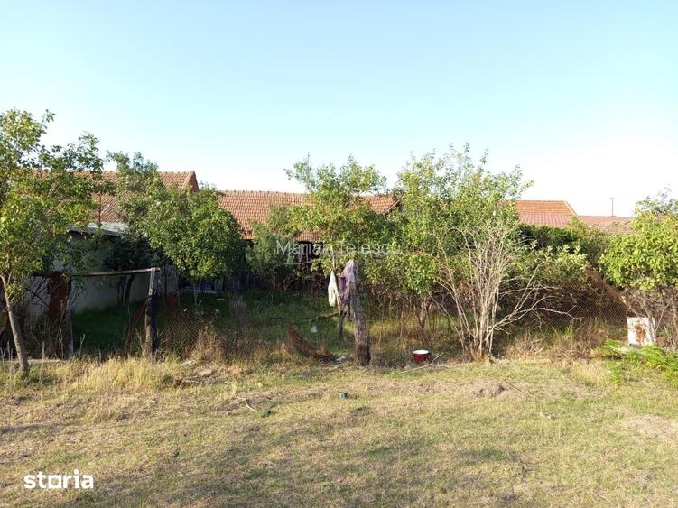 Berliste, Casa 6 Incaperi, 1129mp Teren, Pret Negociabil
