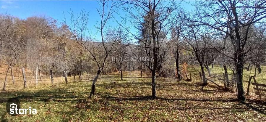 Oportunitate de investitie agricola Teren extravilan de 29.863 mp
