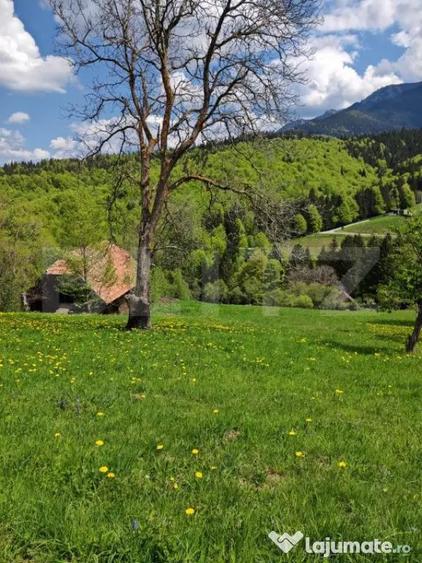 Teren de 3400 mp, în Bran
