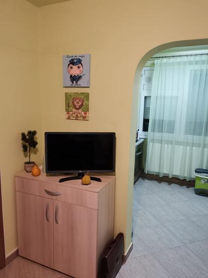 Apartament cu 1 camera de inchiriat Zona Centrala, Str. Gheorghe Lazar 13A (in spatele ANAF) - 5
