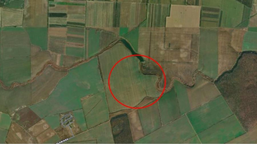 Teren agricol extravilan de 29965 mp, în Balotești