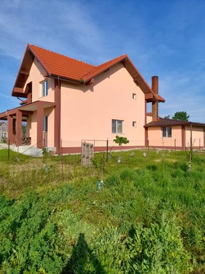 Casă individuală cu 5 camere cu Teren 3000 Mp în Grădiște