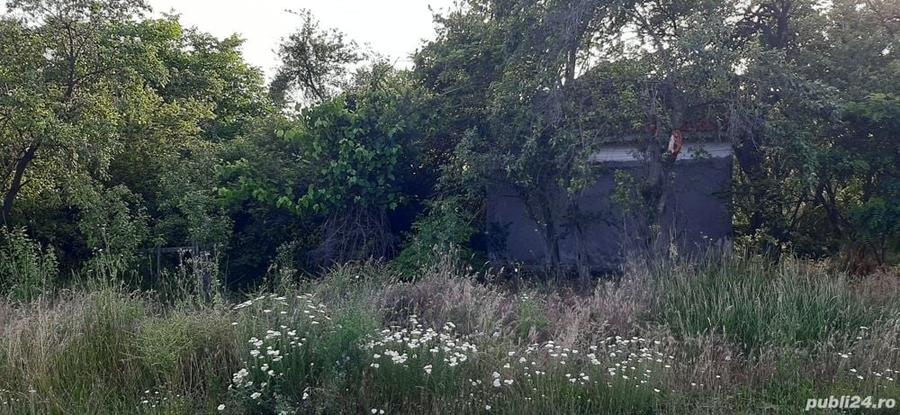 Teren în Mircea Vodă