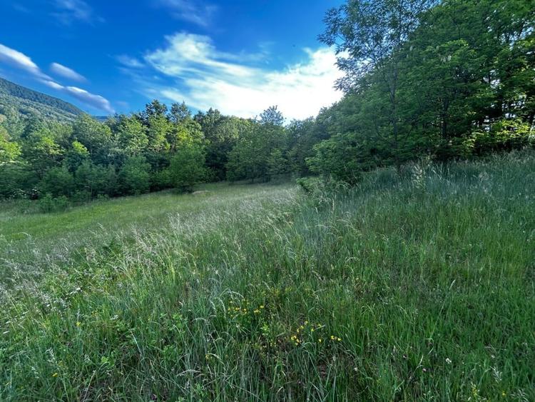 Teren agricol intravilan de 12259 mp, în Galați
