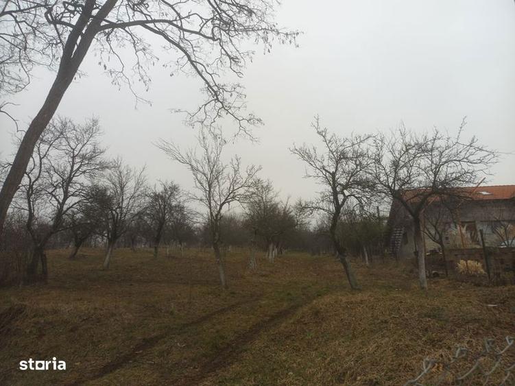 Teren de 3100 mp, în Berislăvești