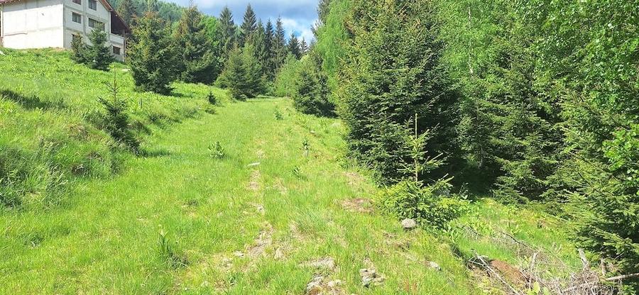 Teren de 300 mp, în Râu de Mori