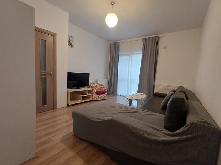 Inchiriere apartament 2 camere cu gradina - 12