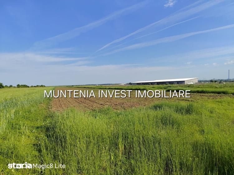 Teren de 11197 mp, în Moșoaia