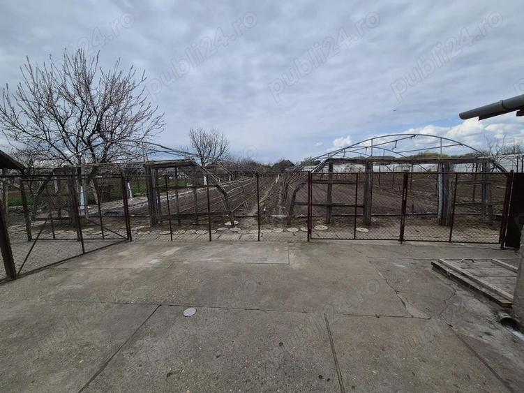 Casă cu Teren 1400 Mp în Macea