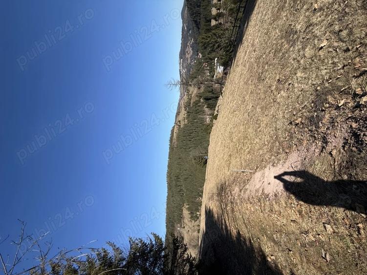 Teren de 12500 mp, în Galbena