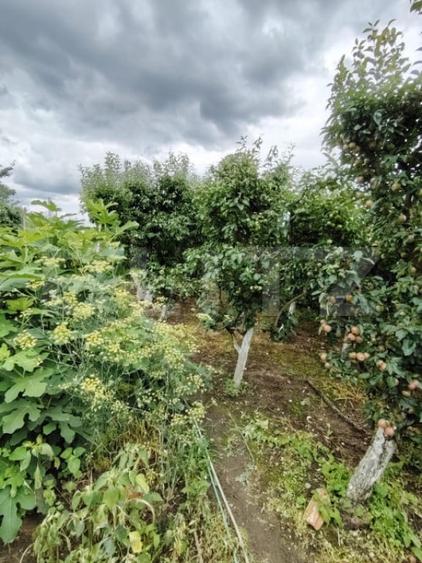 Casă cu 4 camere cu Teren 2795 Mp în Central